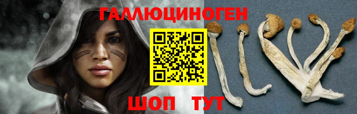 Галлюциногенные грибы MAGIC MUSHROOMS  Вход с VPN  Улан-Удэ 